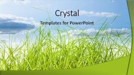  Presentation with art white gray grey - Colorful PPT theme enhanced with free baseball - green grass isolation backdrop and a  colored foreground