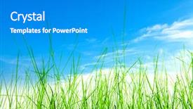  Presentation with white green - Beautiful slide deck featuring free baseball - green grass isolation backdrop and a gray colored foreground