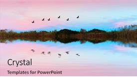  Presentation with birds - Amazing presentation having free birds - sunset colors in the lake backdrop and a lemonade colored foreground