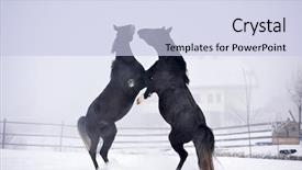  Presentation with win in a thoroughbred horse - PPT theme enhanced with free blood - beautiful horse running in winter background and a lemonade colored foreground