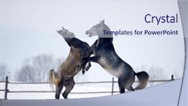  Presentation with horses and children - Audience pleasing PPT layouts consisting of free blood - beautiful horses running outdoor backdrop and a sky blue colored foreground