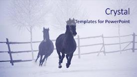  Presentation with power plug winter - Amazing slide deck having free blood - beautiful horses running outdoor backdrop and a sky blue colored foreground