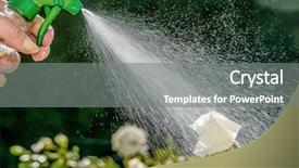  Presentation with roses - Colorful PPT theme enhanced with free chemistry - roses are sprayed backdrop and a gray colored foreground