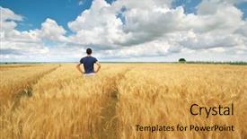 Presentation with agricultural - Slide set featuring free clouds designs - man in yellow wheat meadow background and a gold colored foreground