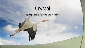  Presentation with crane - Colorful PPT theme enhanced with free crane - flying stork on background backdrop and a light gray colored foreground