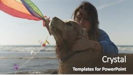  Presentation with free dog - PPT layouts featuring free cruise ship - beautiful young woman with dog background and a  colored foreground