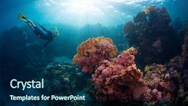  Presentation with sea coral - Slides with free diver exploring vivid coral background and a navy blue colored foreground