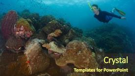  Presentation with sea coral - Colorful PPT theme enhanced with free diver gliding backdrop and a  colored foreground