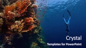  Presentation with egypt - PPT theme consisting of free diving - freediver descending along the vivid background and a navy blue colored foreground