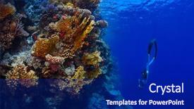  Presentation with egypt - Colorful PPT layouts enhanced with free diving - freediver descending along the vivid backdrop and a navy blue colored foreground