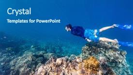  Presentation with coral reef - Audience pleasing PPT layouts consisting of free diving at coral reef backdrop and a  colored foreground