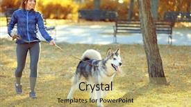  Presentation with dog park - Amazing presentation design having free emotion expressions - happy young woman walking backdrop and a yellow colored foreground