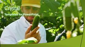  Presentation with working - Audience pleasing presentation theme consisting of agroengineer looking fastidiously at cucumber backdrop and a tawny brown colored foreground