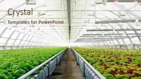  Presentation with interior - Amazing presentation having agro business - perspective of long and large backdrop and a sky blue colored foreground