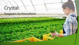  Presentation with greenhouse - Theme featuring agro business - young farmer in uniform picking background and a white colored foreground