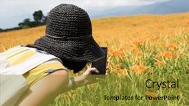  Presentation with yellow and teal design no picture - PPT layouts consisting of daylily flower - asian woman taking a picture background and a gold colored foreground