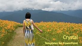  Presentation with save tiger - Amazing theme having daylily flower - asian woman traveling backdrop and a tawny brown colored foreground