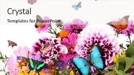  Presentation with wild flower - Presentation design consisting of beautiful wild flowers and flying background and a white colored foreground