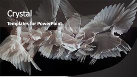  Presentation with white dove - PPT layouts consisting of free flying white dove isolated background and a dark gray colored foreground