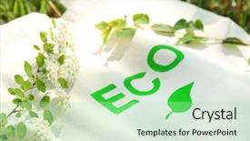  Presentation with eco bag - Amazing presentation design having free food safety - eco bag on green grass backdrop and a mint green colored foreground