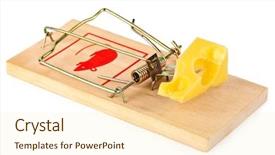  Presentation with food safety - Audience pleasing PPT theme consisting of free food safety - mousetrap and cheese isolated backdrop and a  colored foreground