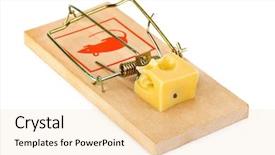  Presentation with food safety - Cool new presentation with free food safety - mousetrap and cheese isolated backdrop and a lemonade colored foreground