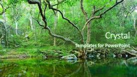  Presentation with green tree - Slides having free green - forest with water and tree background and a forest green colored foreground