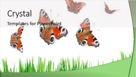  Presentation with butterfly moving - Theme having moving butterfly - grass and butterflies background and a lemonade colored foreground