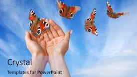  Presentation with free helping hand - Beautiful presentation theme featuring free helping hand - liberty backdrop and a light blue colored foreground