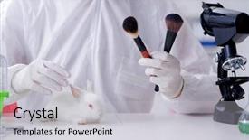  Presentation with scientific journals - PPT theme enhanced with free industrial safety - white rabbit in scientific lab background and a light gray colored foreground