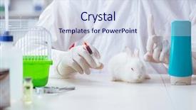  Presentation with physics experiment - Cool new PPT layouts with free industrial safety - white rabbit in scientific lab backdrop and a sky blue colored foreground