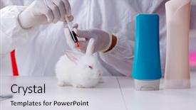 Presentation with experiment water in beaker - Presentation design enhanced with free industrial safety - white rabbit in scientific lab background and a light gray colored foreground