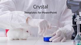  Presentation with scientific - Cool new presentation theme with free industrial safety - white rabbit in scientific lab backdrop and a light gray colored foreground