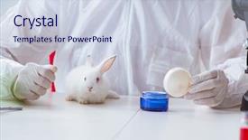  Presentation with scientific - PPT theme having free industrial safety - white rabbit in scientific lab background and a sky blue colored foreground