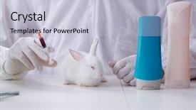  Presentation with scientific officer - Audience pleasing slides consisting of free industrial safety - white rabbit in scientific lab backdrop and a lemonade colored foreground