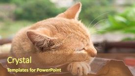  Presentation with house roof and roofing business - Theme consisting of chemist mixing perfumes in the lab background and a sky blue colored foreground.