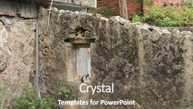  Presentation with free cat - Slide set enhanced with free kitten - tortoiseshell cat sitting background and a violet colored foreground