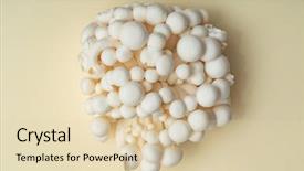  Presentation with korean - Slides enhanced with free korean background - white enoki mushrooms background and a  colored foreground