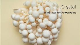  Presentation with mushrooms - Audience pleasing slide set consisting of free korean background - white enoki mushrooms backdrop and a  colored foreground