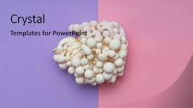  Presentation with mushrooms - Presentation design featuring free korean background - white enoki mushrooms background and a  colored foreground