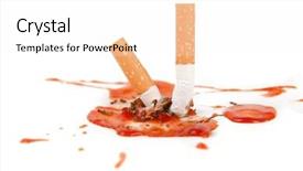  Presentation with cigarettes - PPT theme featuring free death dying - smoking kills concept cigarettes background and a white colored foreground