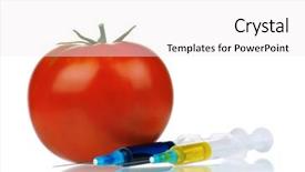  Presentation with genetically - Slide deck featuring free microbiology - genetically modified organism - ripe background and a white colored foreground