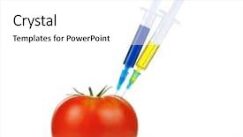 Presentation with genetically - Colorful slide deck enhanced with free microbiology - genetically modified organism - ripe backdrop and a white colored foreground