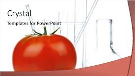  Presentation with genetically - Beautiful slides featuring free microbiology - genetically modified organism backdrop and a white colored foreground