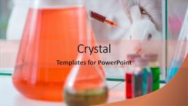  Presentation with scientific - PPT theme having free microbiology - white rabbit in scientific lab background and a coral colored foreground