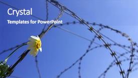  Presentation with stuck - Colorful slide deck enhanced with free military - barbed wire with a stuck backdrop and a teal colored foreground