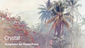  Presentation with forest fire - Slide set having free natural disasters - fire in the jungle forest background and a gray colored foreground
