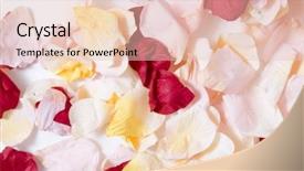 Presentation with perfume - PPT theme featuring free perfume - multicolored rose petals background and a lemonade colored foreground
