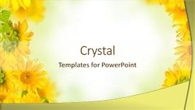  Presentation with sunflowers - Audience pleasing theme consisting of free photo frame - beautiful sunflowers backdrop and a cream colored foreground