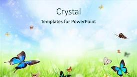  Presentation with plant biology - Beautiful presentation theme featuring free plant biology - beautiful spring meadow with butterflies backdrop and a sky blue colored foreground